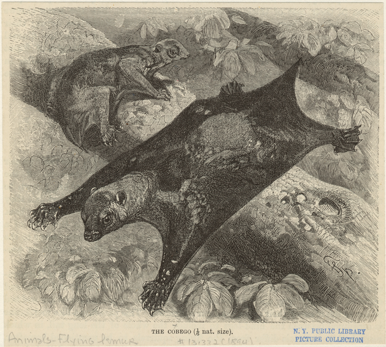 Image ID 822354
