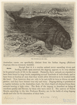 Image ID 822356