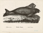 Image ID 822359