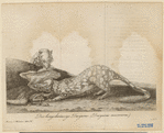 Image ID 822360