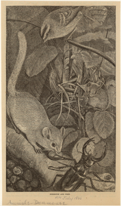 Image ID 822361