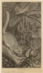 Image ID 822361