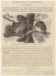 Image ID 822362