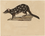 Image ID 822364
