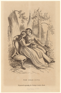 Image ID 822369