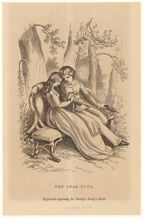 Image ID 822369
