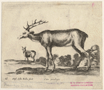Image ID 822373