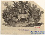 Image ID 822374