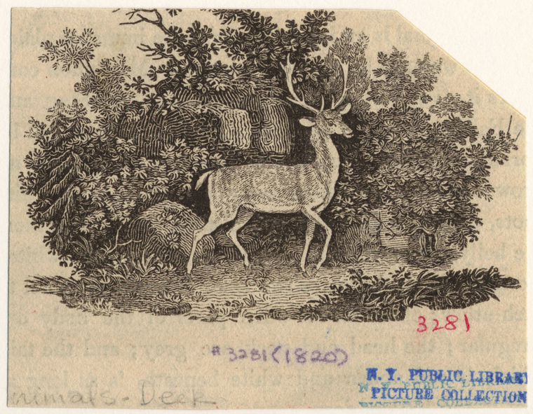 Image ID 822374
