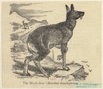 Image ID 822376