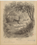 Image ID 822378