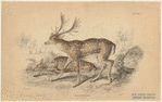 Image ID 822379