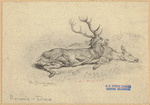 Image ID 822385