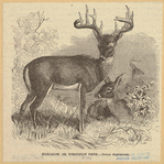 Image ID 822386