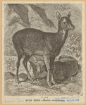 Image ID 822387