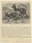 Image ID 822394