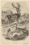 Image ID 822395