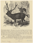 Image ID 822396