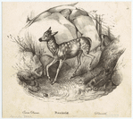 Image ID 822397
