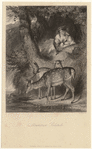 Image ID 822400