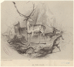 Image ID 822403