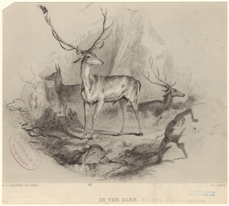 Image ID 822403
