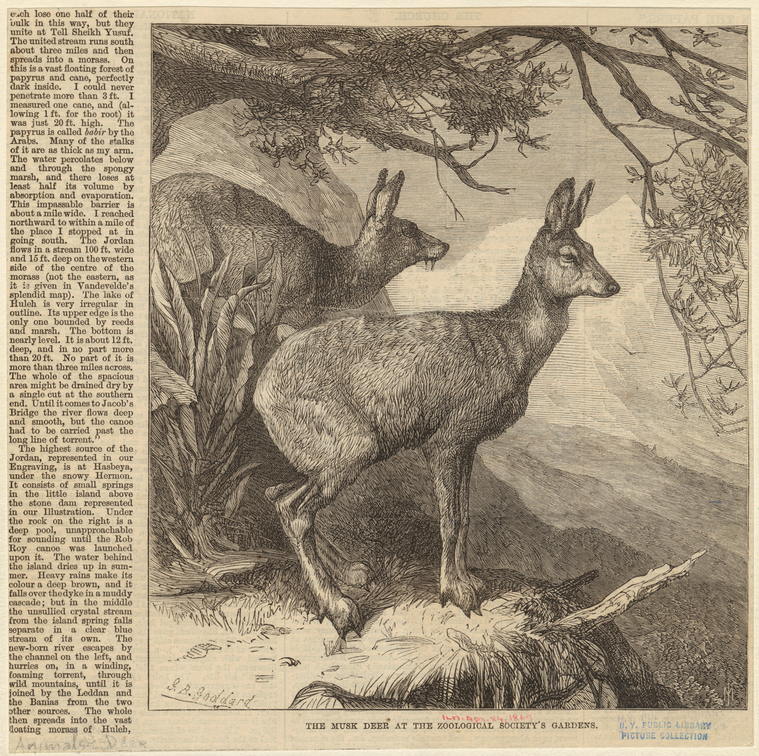 Image ID 822407
