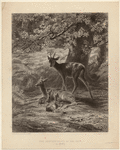 Image ID 822427