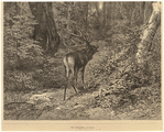 Image ID 822428