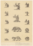 Image ID 822444