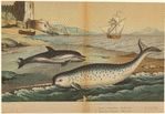 Image ID 822457