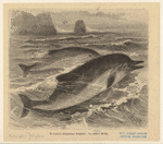 Image ID 822461