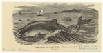 Image ID 822463