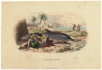 Image ID 822464