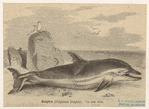 Image ID 822467