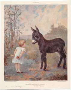 Image ID 822469