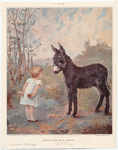 Image ID 822469