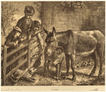 Image ID 822471