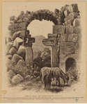 Image ID 822476