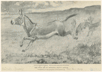 Image ID 822479