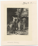 Image ID 822481