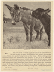 Image ID 822484