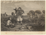Image ID 822485