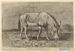 Image ID 822487