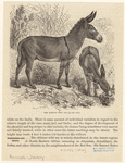 Image ID 822488