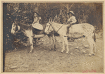 Image ID 822491