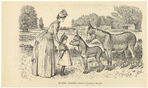 Image ID 822494