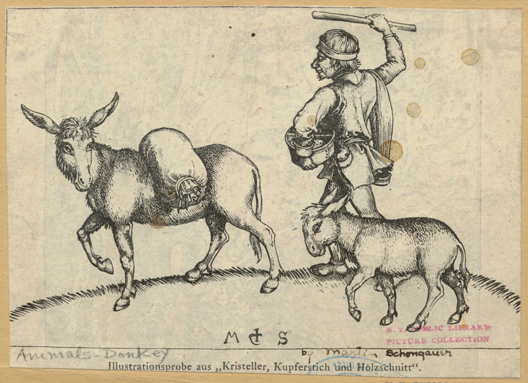 Image ID 822495
