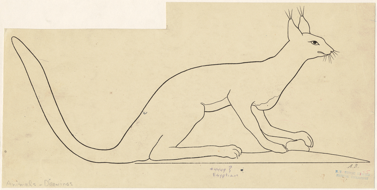 Image ID 822498

