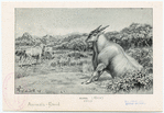 Image ID 822501